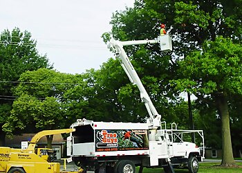Lincoln Tree Services The Tree Guys