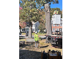 The Tree Guys Corporation - Hampton, VA Tree Services - Team Working Image