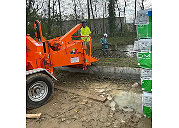 The Tree Guys Corporation - Hampton, VA Tree Services - Outdoor Work Image