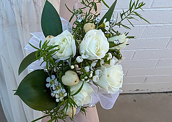 Glendale Florists The Tulip Tree