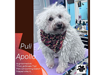 The UpScale Tail, Pet Grooming Salon, Ltd. Naperville Pet Grooming