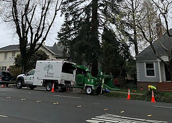 San Francisco Tree Services The Urban Arborist