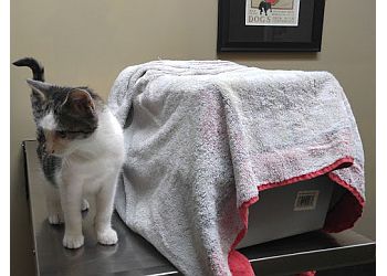 Los Angeles Veterinary Clinics Veterinary Care Center