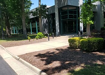 Newport News Landscaping Companies The Vine Landscaping