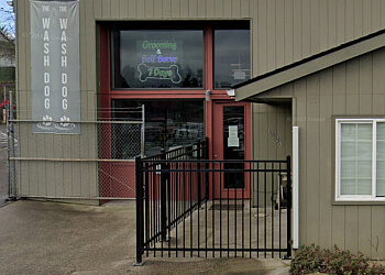 The Wash Dog Seattle Pet Grooming