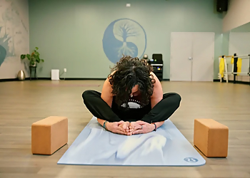 The Well Studio - Hayward, CA Yoga Studios - Practice Image