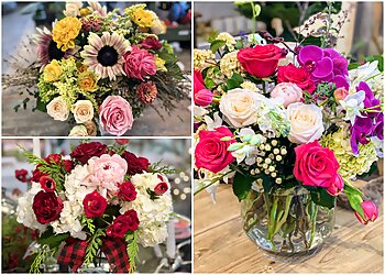 Nashville Florists The White Orchid