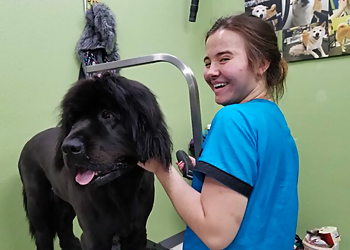 Spokane Pet Grooming The Yuppy Puppy LLC