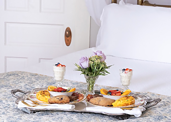 McKinney Videographers The Zoe Martin