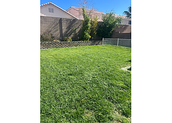 North Las Vegas Lawn Care Services The Landscape Kingdom