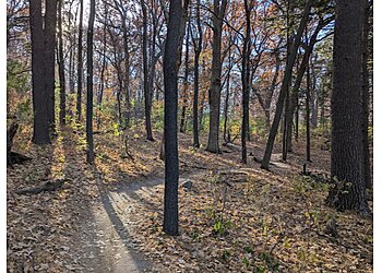 Minneapolis Hiking Trails Theodore Wirth Regional Park