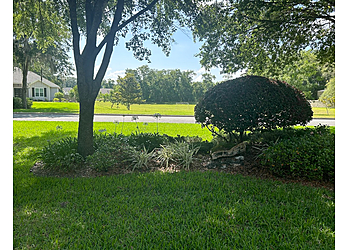Gainesville Lawn Care Services Theo's Lawn Maintenance