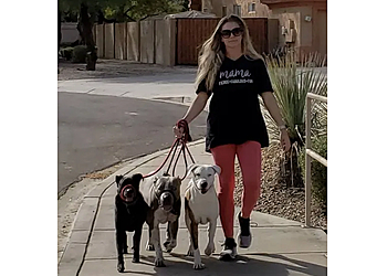 This Little Doggie Stayed Home Gilbert Dog Walkers image 1