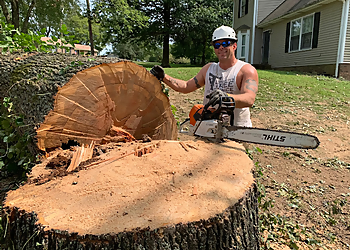 Clarksville Tree Services Thompson's Tree Service, LLC