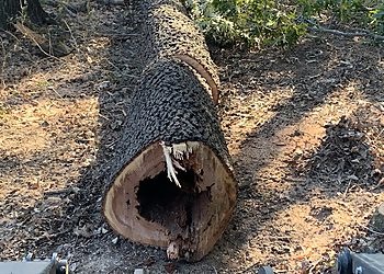 Clarksville Tree Services Thompson's Tree Service, LLC