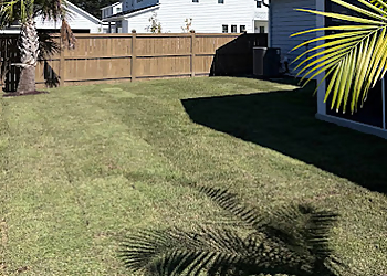 North Charleston Lawn Care Services Thorn Lawn & Sod Contractors, LLC.