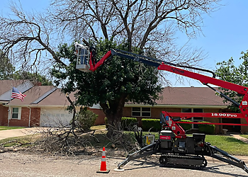 Abilene Tree Services Thornton's Tree Service