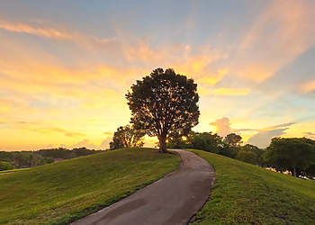 Three Friends Park - Coral Springs, FL Hiking Trails - Scenic View Image