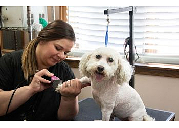 Independence Veterinary Clinics Three Trails Animal Hospital