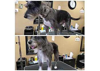 Moreno Valley Pet Grooming Thrifty Grooming