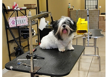 3 Best Pet Grooming in Moreno Valley, CA - Expert Recommendations