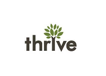 Thrive Internet Marketing Agency-Arlington Arlington Web Designers