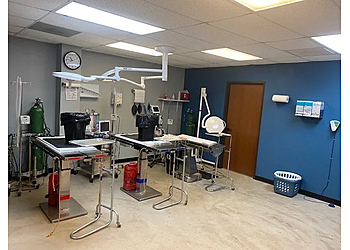 Mesquite Veterinary Clinics Thrive Pet Healthcare Urgent Care Mesquite