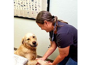 Norman Veterinary Clinics Thunderbird Veterinary Hospital