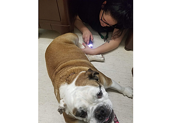 Norman Veterinary Clinics Thunderbird Veterinary Hospital