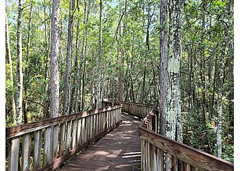 Orlando Hiking Trails Tibet-Butler Preserve