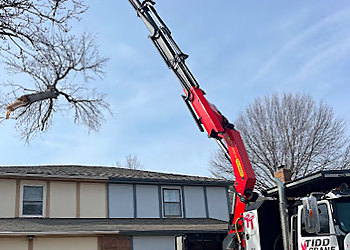 Olathe Tree Services Tidd Tree