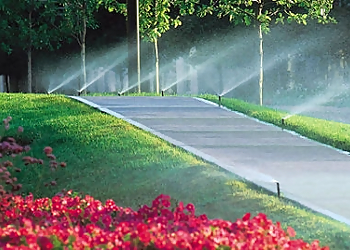 Savannah Landscaping Companies Tidewater Landscape Management Inc.