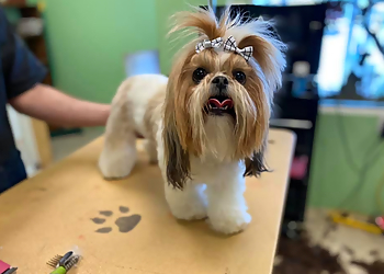 Nashville Pet Grooming Tidy Dog Pet Salon