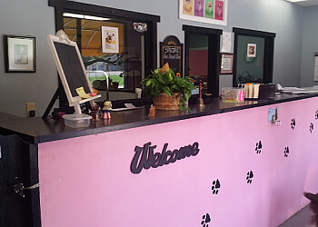 3 Best Pet Grooming in Waco, TX - Expert Recommendations