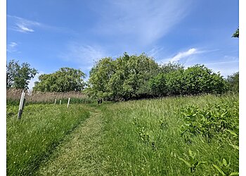 Buffalo Hiking Trails Tifft Nature Preserve