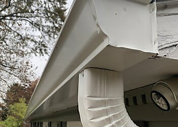 Memphis Gutter Cleaners Tiger Gutters