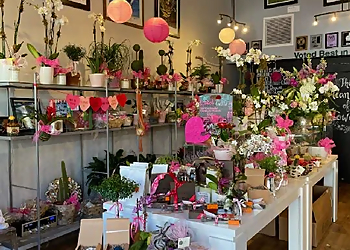 Tiger Lily Florist - Charleston, SC Florists - Business Interior Image