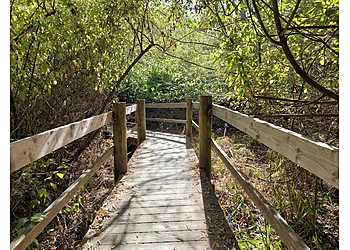 Berkeley Hiking Trails Tilden Nature Area