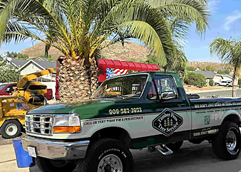 Timber Pros Tree Service Fontana Tree Services image 1