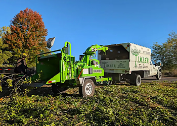 Timber Tree Service LLC - Olathe, KS Tree Services - Service Image