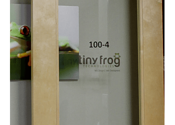 Tiny Frog Technologies San Diego Web Designers
