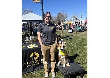 Oklahoma City Dog Training Tip Top K9