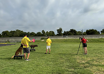 Tip Top K9 Dog Training Carrollton - Carrollton, TX Dog Training - Professional Highlights