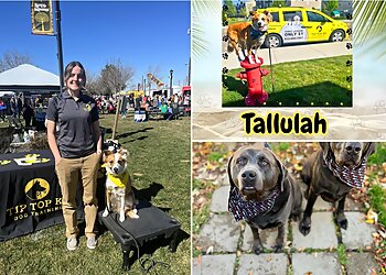 Fort Worth Dog Training Tip Top K9 Fort Worth