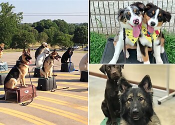 Chandler Dog Training Tip Top K9 Gilbert Dog Training