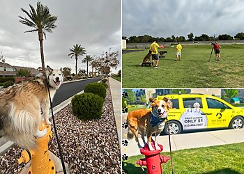 Mesa Dog Training Tip Top K9 Gilbert Dog Training