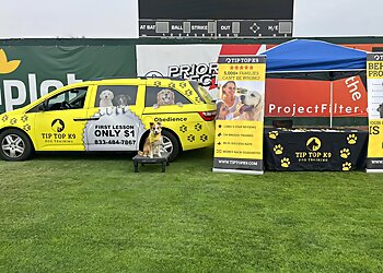 Nashville Dog Training Tip Top K9 Southern Nashville Dog Training