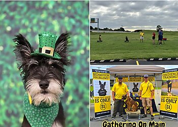 Nashville Dog Training Tip Top K9 Southern Nashville Dog Training