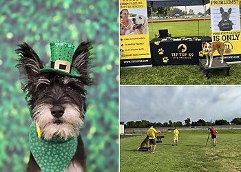 Arlington Dog Training Tip Top K9 Southlake Dog Training