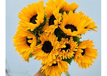 Little Rock Florists Tipton & Hurst